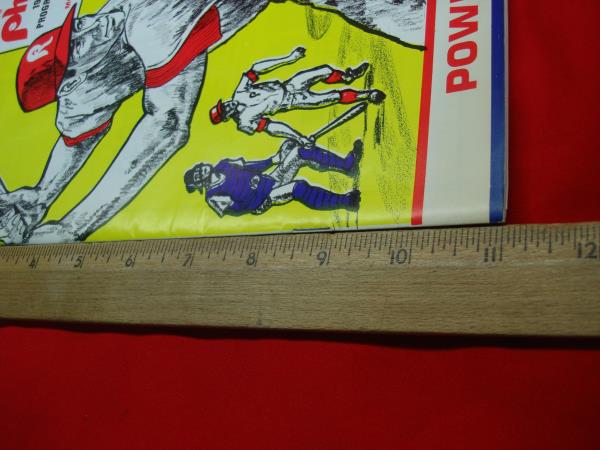 1973 Reading Phillies Scorebook & Program - Excellent Condition, Filled Scoresheet & Roster
