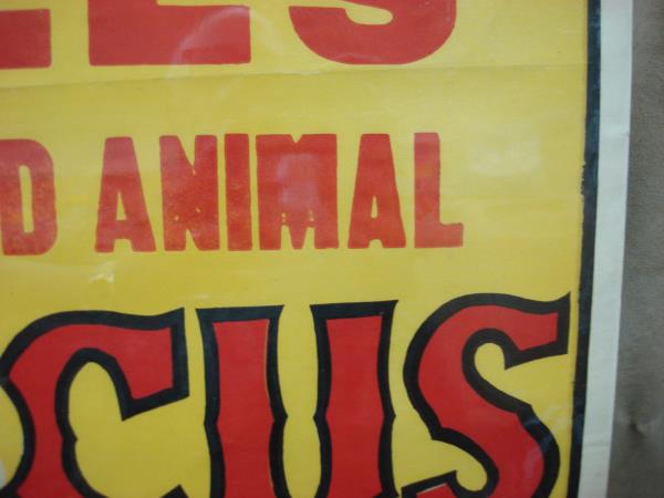 Vintage Dales Circus Poster (1950s) - Trained Seals, Colorful Circus Art - 26x20