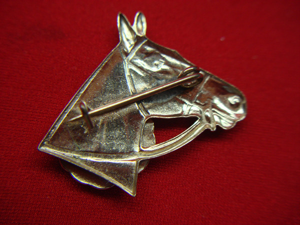 Vintage Grand Canyon of Pennsylvania Pin - Horse Head Souvenir, Excellent Condition