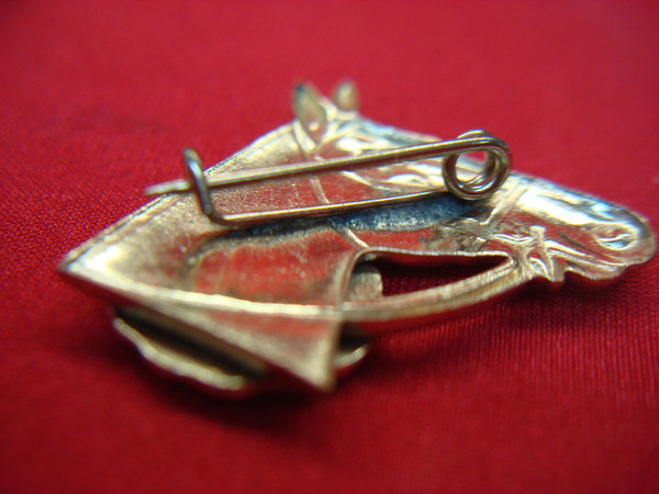 Vintage Grand Canyon of Pennsylvania Pin - Horse Head Souvenir, Excellent Condition