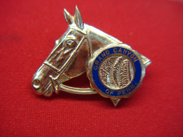 Vintage Grand Canyon of Pennsylvania Pin - Horse Head Souvenir, Excellent Condition