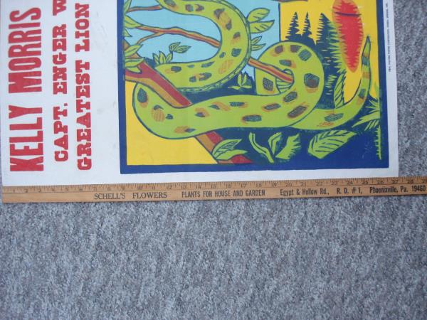 Vintage Kelly Morris Circus Poster - Captain Enger Lion Tamer & Snake 1952