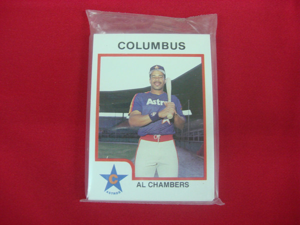 1987 Columbus Astros ProCards MiLB Team Set | Stottlemyer, Caminiti | Vintage Baseball Cards