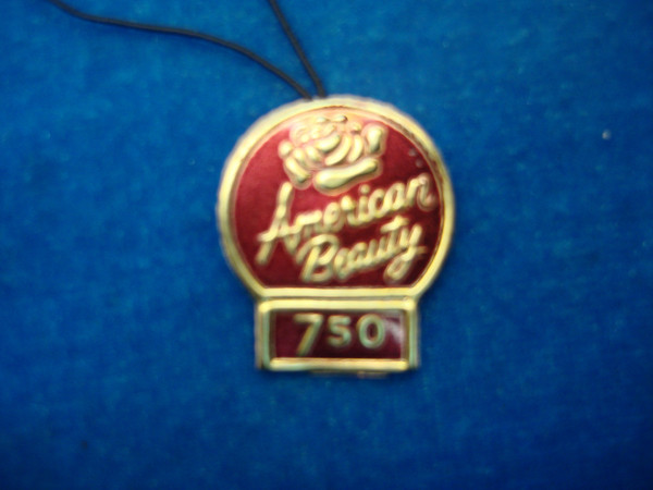 Vintage 1950s American Beauty Jewelry Set - Necklace, Bracelet & Earrings (Never Worn)