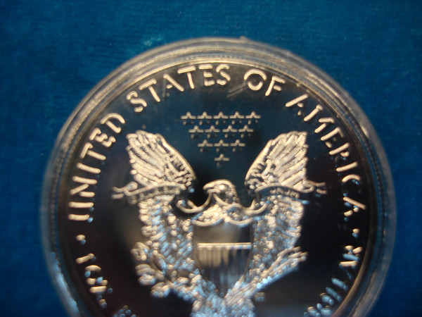2018 American Silver Eagle with Ruthenium Accents - .999 Fine Silver Dollar