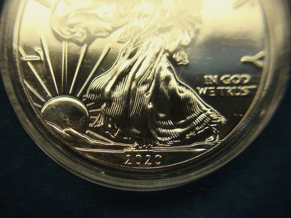 2020 American Silver Eagle Ruthenium Accent Coin (1 oz .999 Fine Silver)