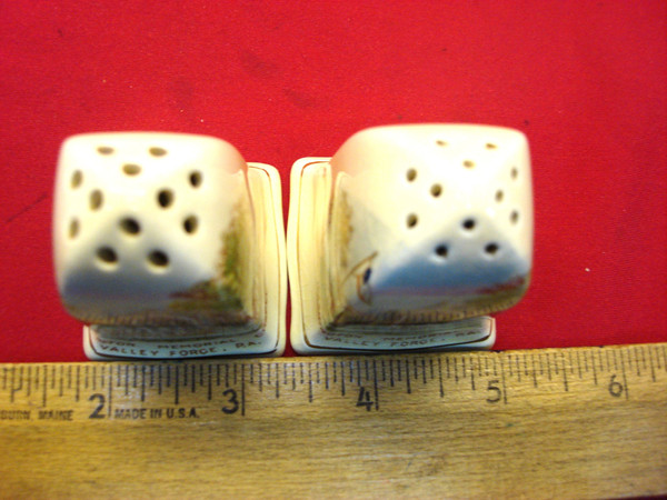 Vintage Royal Winton Washington Memorial Chapel Salt & Pepper Shakers - Valley Forge, PA