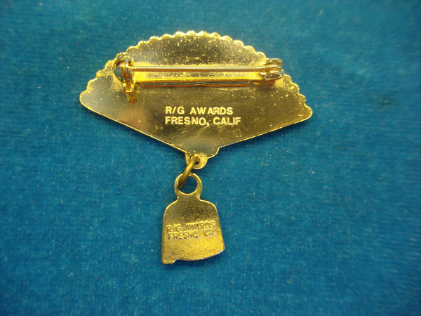 Vintage Shriners Pin with Multi-Color Fan - Unique & Eye-Catching Accessory