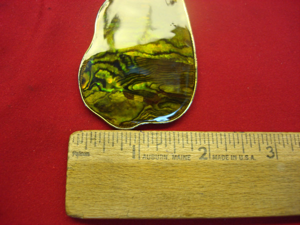 Large Abalone Hinged Pendant - Unique Lucite Accent, Pre-Owned Gem