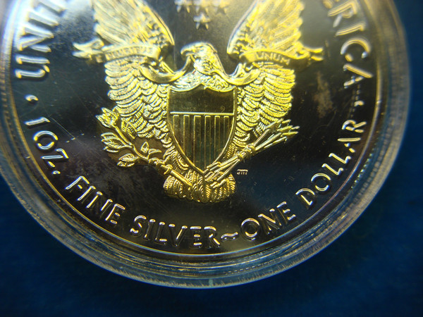 2020 American Silver Eagle Coin - Ruthenium & 24K Gold Accents