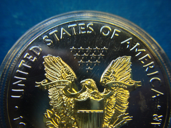 2020 American Silver Eagle Coin - Ruthenium & 24K Gold Accents