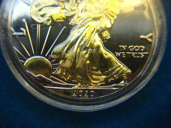 2020 American Silver Eagle Coin - Ruthenium & 24K Gold Accents