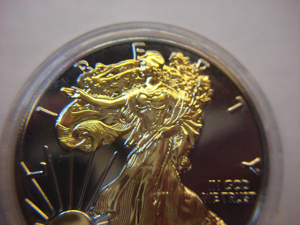 2020 American Silver Eagle Coin - Ruthenium & 24K Gold Accents