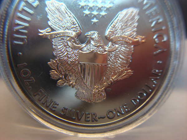 2020 American Silver Eagle Coin - Ruthenium & 24K Gold Gilding
