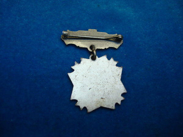 Vintage Early United States VFW Pin - Excellent Condition