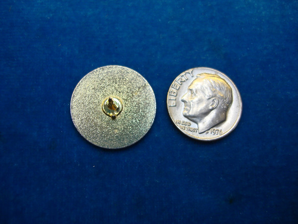 Vintage Gold Tone Nurse's Aide Pin - White/Blue Enamel - Collectible Gift #471