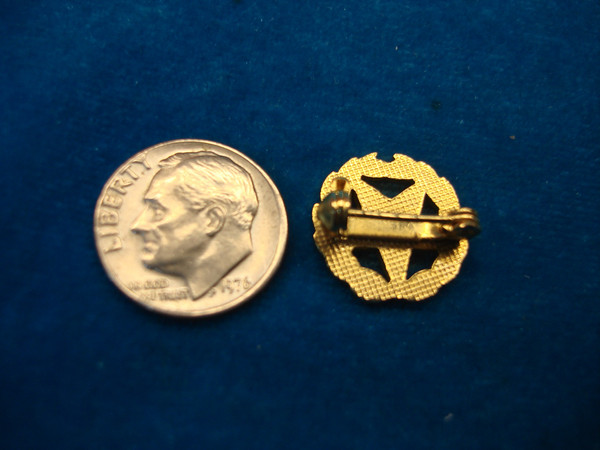 Vintage Eastern Star 25 Year Pin - Gold Tone Enamel, Excellent Condition #475