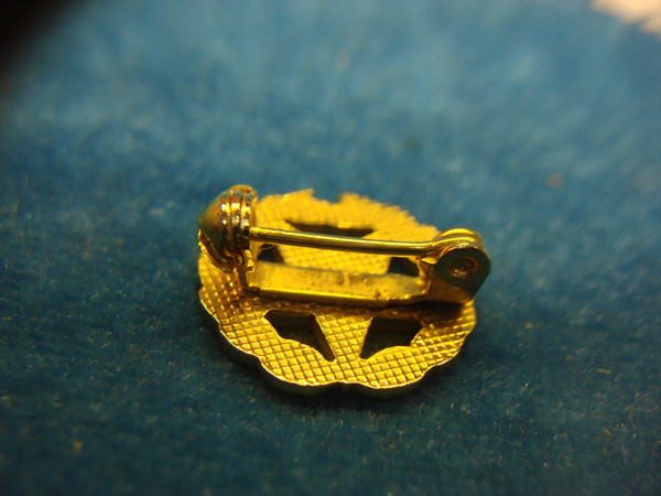 Vintage Eastern Star 25 Year Pin - Gold Tone Enamel, Excellent Condition #475