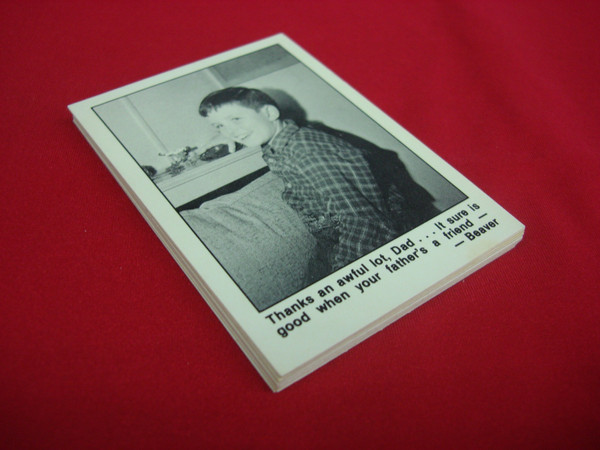 Vintage 1983 Pacific Leave It to Beaver Trading Card Set of 14 (Nice Condition)