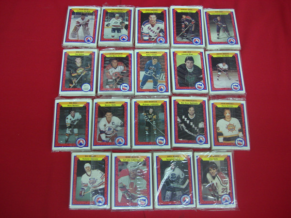 1991-92 ProCards Minor League Hockey Set (AHL & IHL) - Factory Sealed Collection of 19 Teams