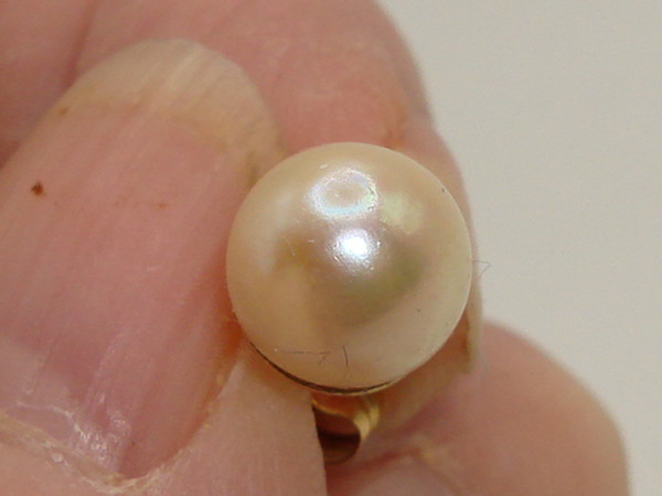 Elegant 14K Gold Freshwater Cultured Pearl Stud Earrings (8mm)