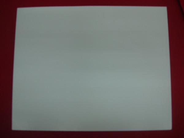 Vintage Autographed Shibe Park / Connie Mack Stadium Photo - Early Philadelphia Phillies