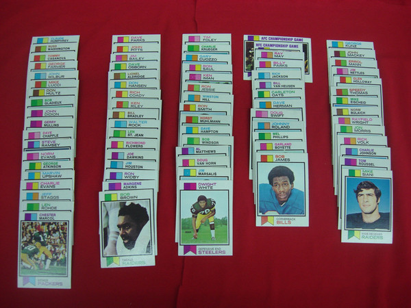 Vintage 1973 Topps Football Card Lot (406/528) - Excellent to Mint Condition