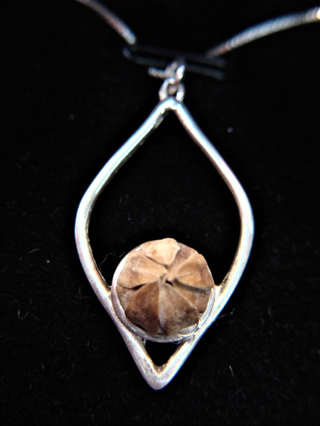 Sterling Silver Blessing Flower Pendant Necklace - Blooms After Water, 25 Year Reminder