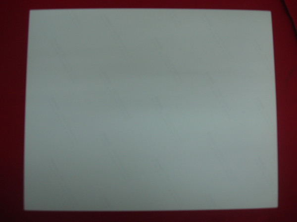 Vintage 1946 Philadelphia Phillies Autographed Photo (8x10) - Authenticated Collection