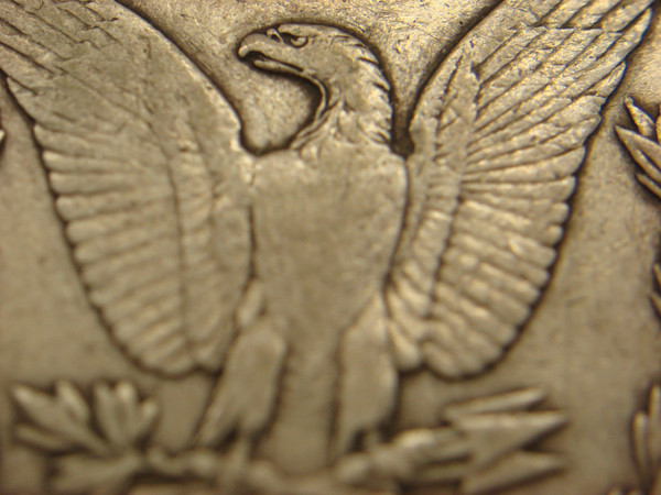 1904 Morgan Silver Dollar - Full Rims, Great Detail & Natural Toning