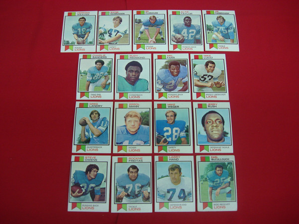 1973 Topps Detroit Lions Football Cards - 17 Card Lot (EX-MT+ Condition)