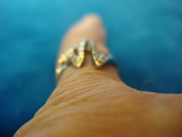 Sterling Silver Wild Design Ring - Size 7.5 (Pre-Owned)