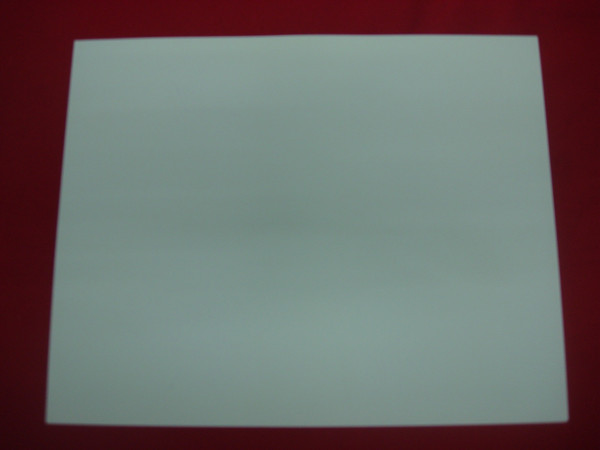 Autographed Shibe Park / Connie Mack Stadium Photo - Early Philadelphia Phillies Signatures