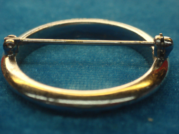 Otis Sterling Silver Circle Pin with Sparkling Diamond Simulants - 1 1/4 Inch