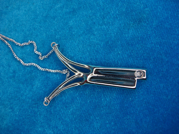 Elegant Abalone Shell Pendant Necklace - Polished Silver Tone, 16