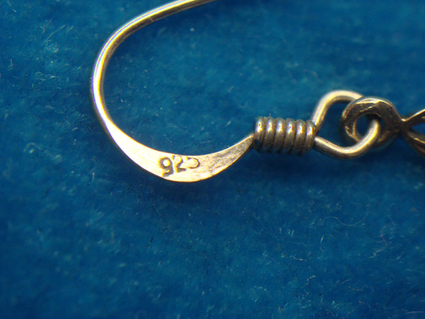 Elegant Sterling Silver Dangle Earrings with Red Gemstones (1 Inch)